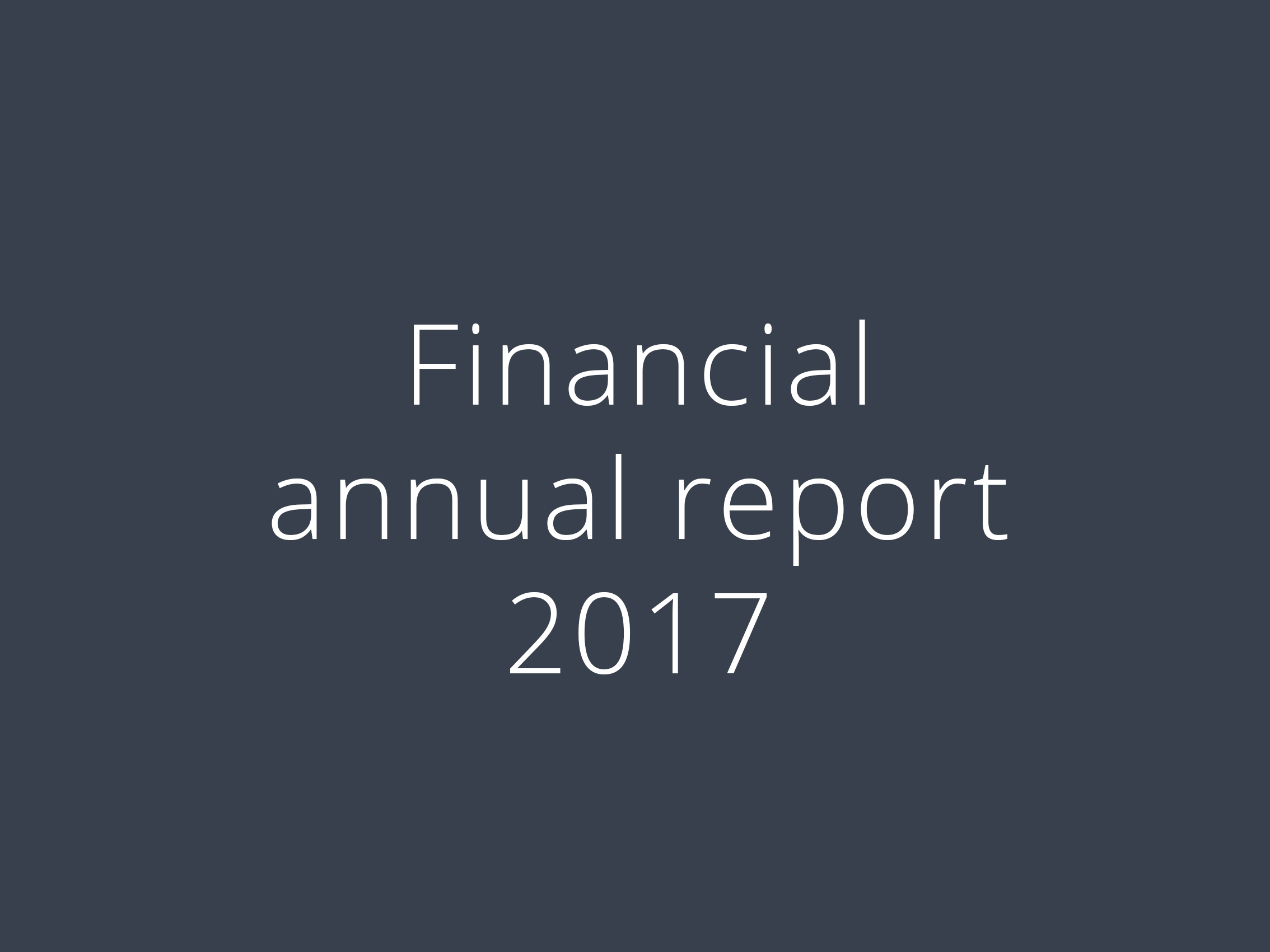 financial_annual_report2017